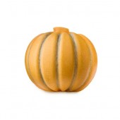 Pumpkin Scrubee 