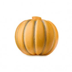 Pumpkin Scrubee 