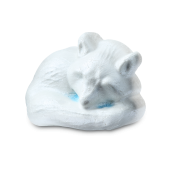 Arctic Fox