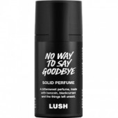 No Way To Say Goodbye