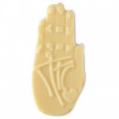Palm Reader